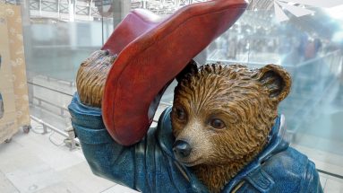 Polite Bear